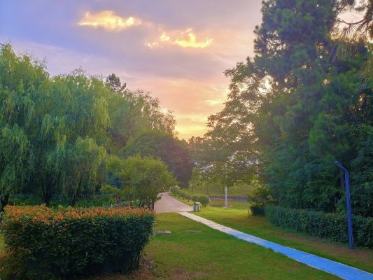 宣城海螺王明，油畫_副本